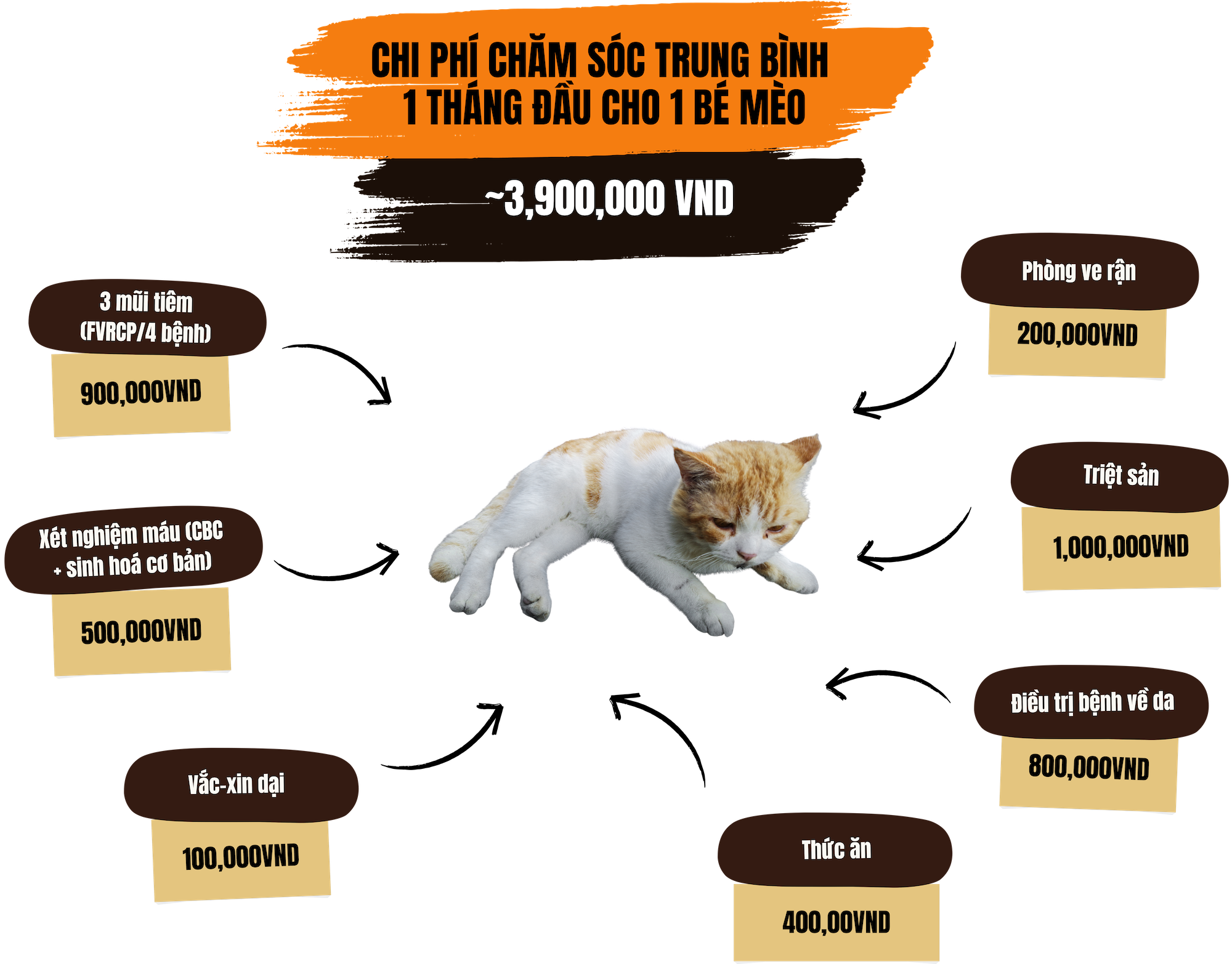 Havepaws AI Platform